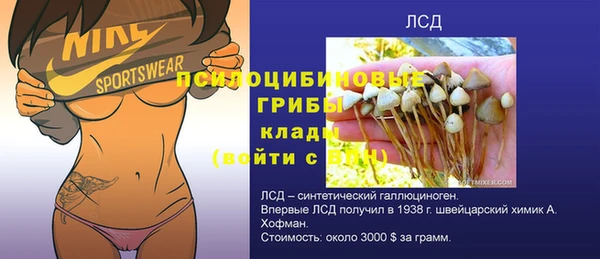 ешки Сатка