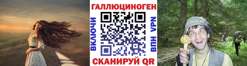 Галлюциногенные грибы MAGIC MUSHROOMS  купить  сайты  Дрезна 